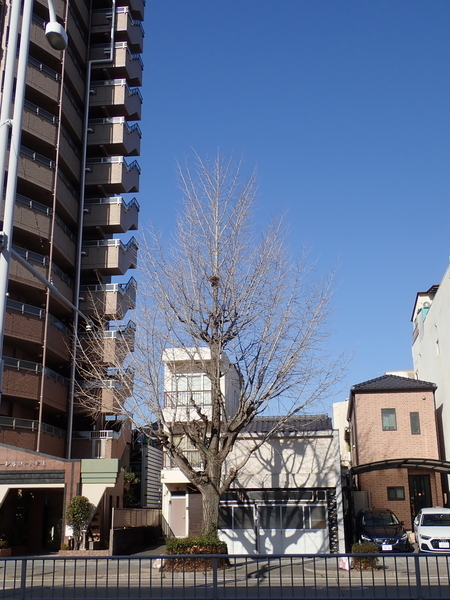 f:id:gzutetsu:20200312083630j:image