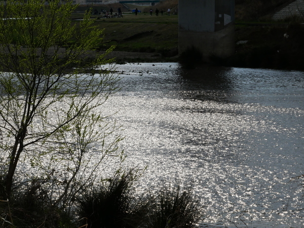 f:id:gzutetsu:20200315152515j:image
