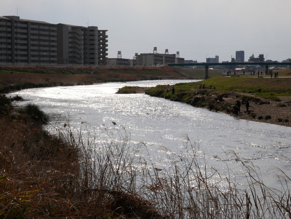 f:id:gzutetsu:20200315152809j:image