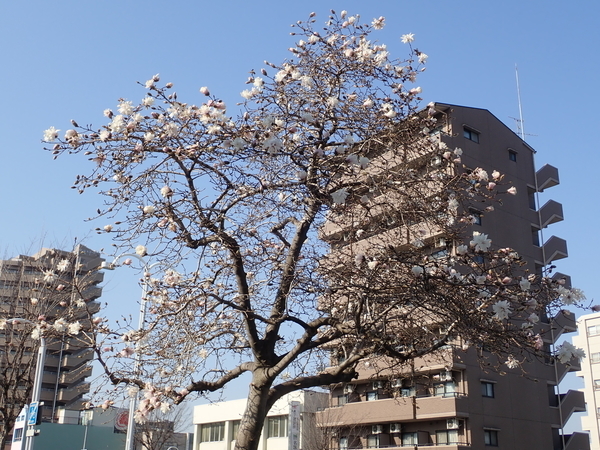 f:id:gzutetsu:20200319083359j:image