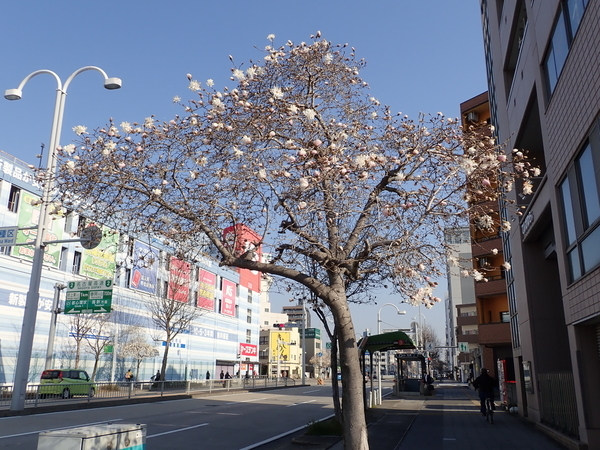 f:id:gzutetsu:20200319083432j:image