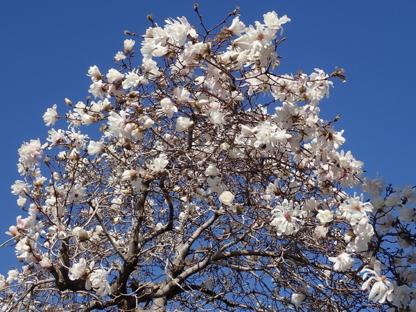 f:id:gzutetsu:20200323083009j:image