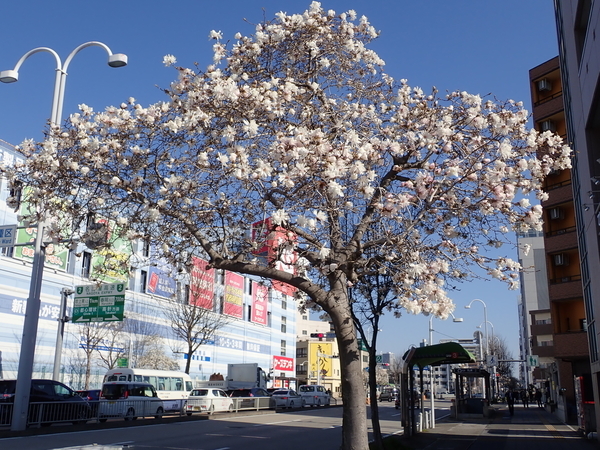 f:id:gzutetsu:20200323083041j:image