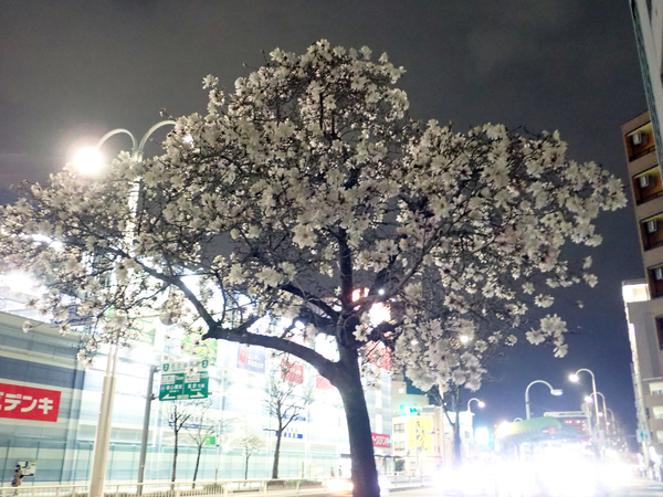 f:id:gzutetsu:20200323192738j:image
