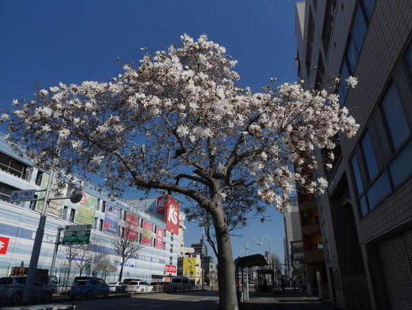 f:id:gzutetsu:20200326083511j:image