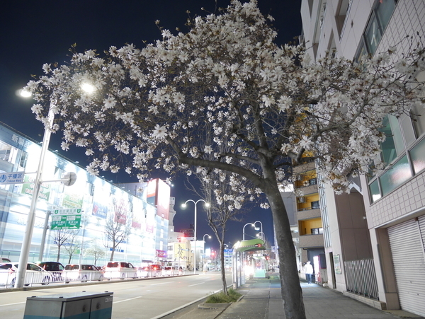 f:id:gzutetsu:20200326194921j:image
