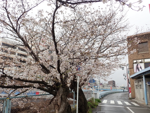 f:id:gzutetsu:20200331081817j:image