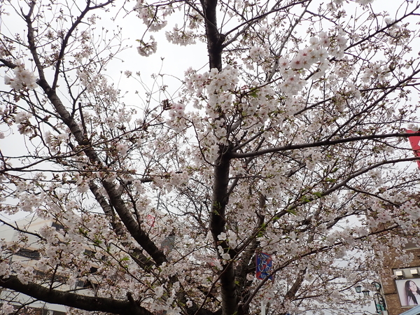 f:id:gzutetsu:20200331081900j:image