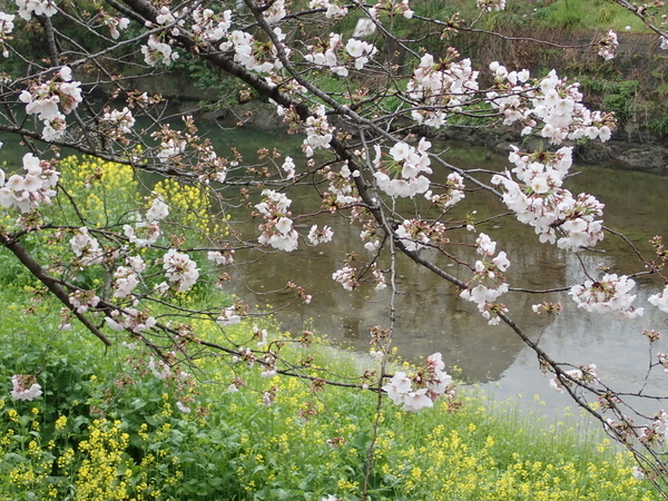f:id:gzutetsu:20200331081916j:image