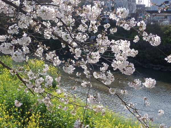 f:id:gzutetsu:20200402081413j:image