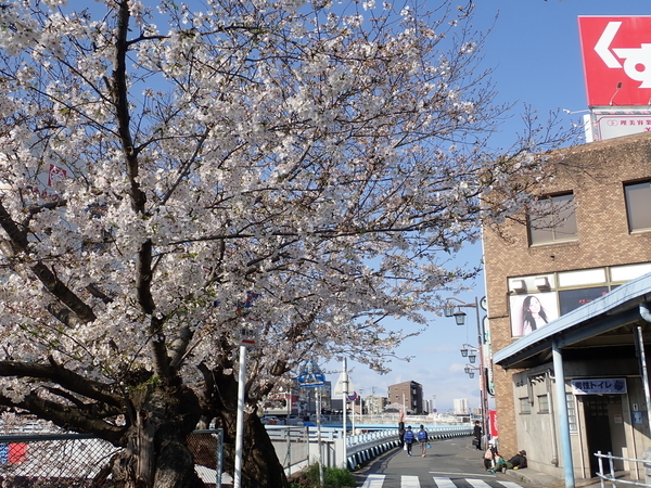 f:id:gzutetsu:20200402081432j:image