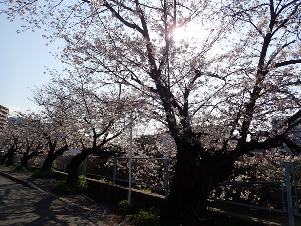 f:id:gzutetsu:20200402081627j:image