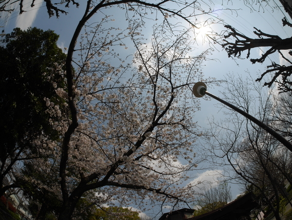 f:id:gzutetsu:20200404125410j:image
