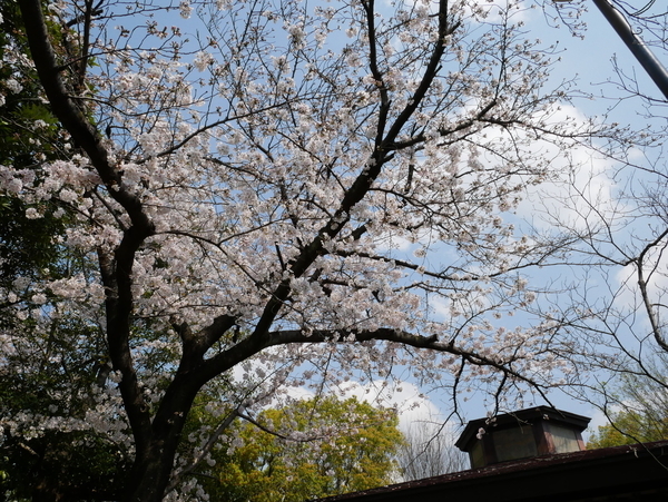 f:id:gzutetsu:20200404125803j:image