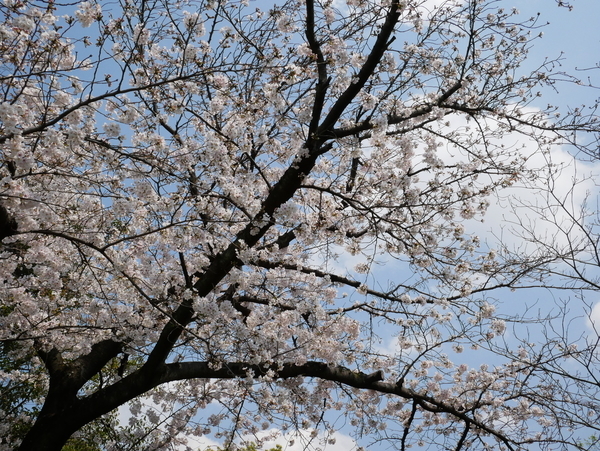 f:id:gzutetsu:20200404125821j:image