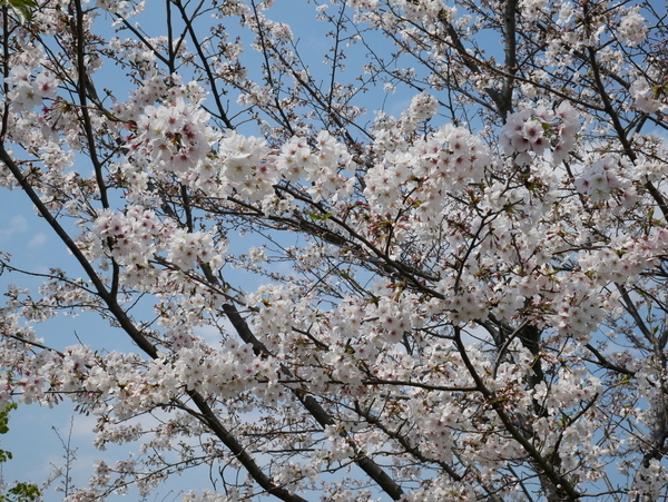 f:id:gzutetsu:20200404130223j:image