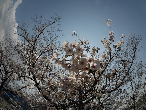 f:id:gzutetsu:20200404130410j:image