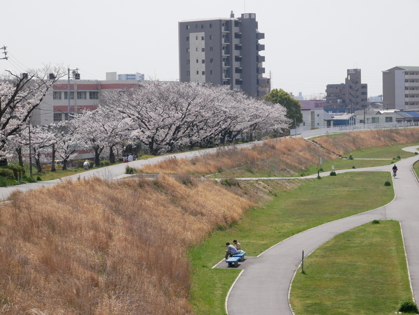 f:id:gzutetsu:20200404130738j:image