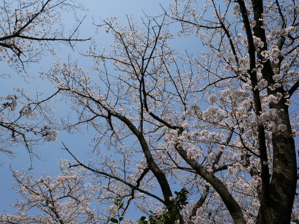 f:id:gzutetsu:20200404131242j:image