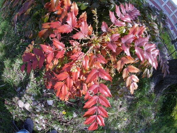 f:id:gzutetsu:20200404132918j:image