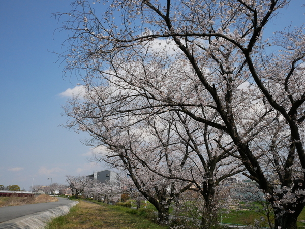 f:id:gzutetsu:20200404133143j:image