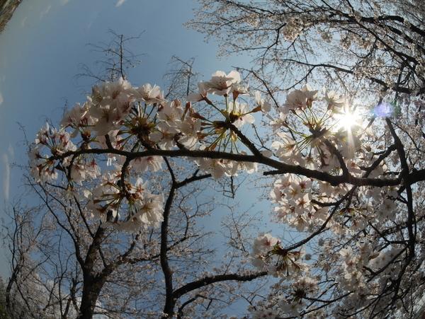 f:id:gzutetsu:20200404133204j:image