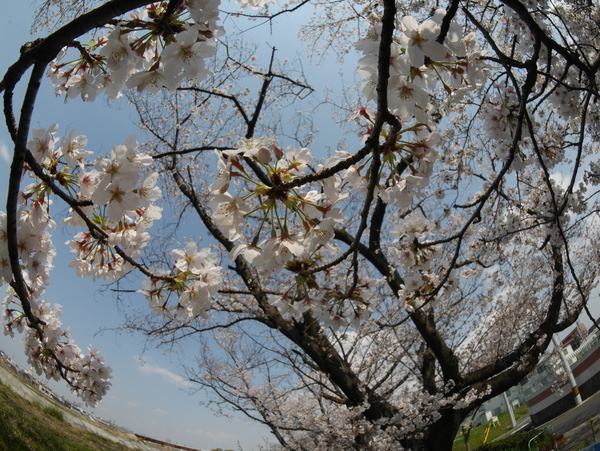 f:id:gzutetsu:20200404133244j:image