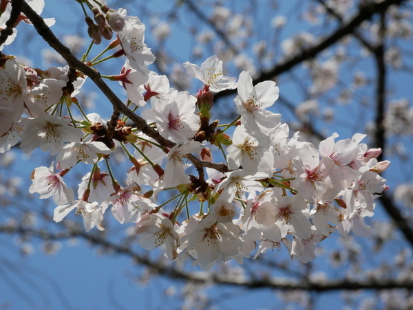 f:id:gzutetsu:20200404133547j:image