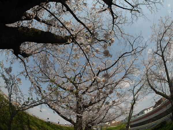 f:id:gzutetsu:20200404134511j:image