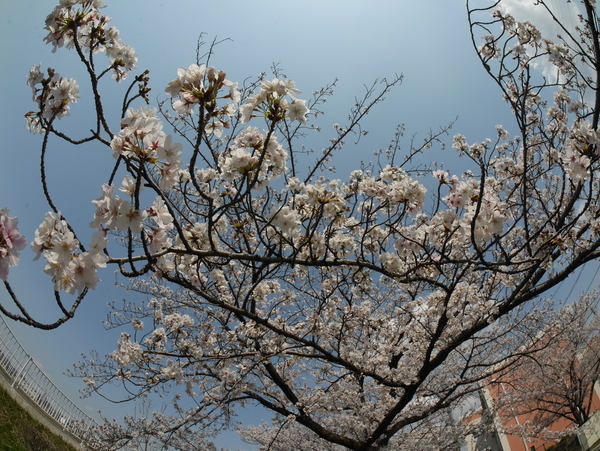 f:id:gzutetsu:20200404135148j:image
