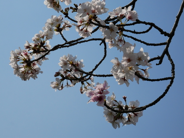 f:id:gzutetsu:20200404135527j:image
