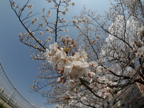 f:id:gzutetsu:20200404140330j:image