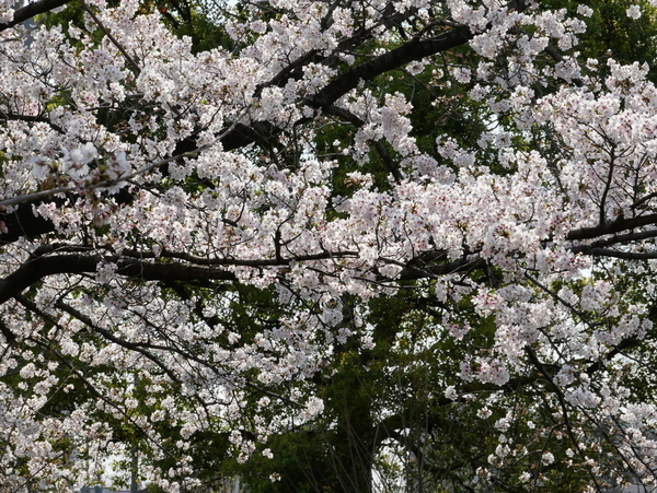f:id:gzutetsu:20200404140519j:image