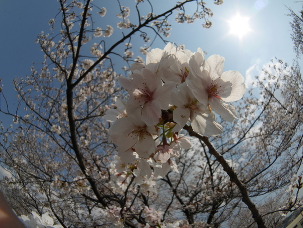f:id:gzutetsu:20200404140533j:image