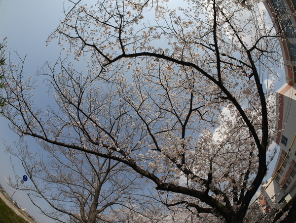 f:id:gzutetsu:20200404140755j:image
