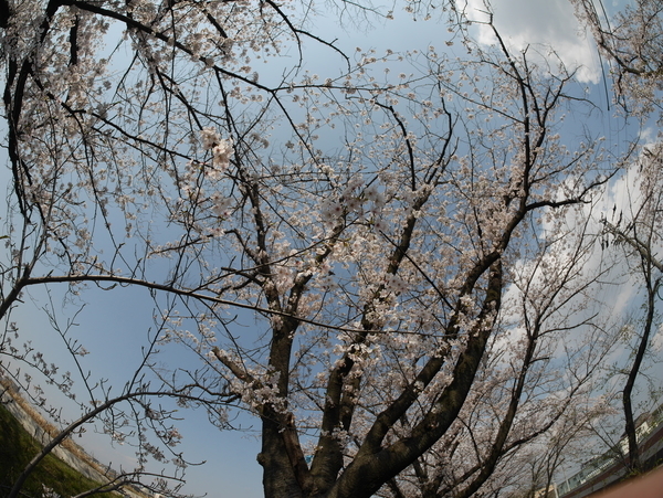 f:id:gzutetsu:20200404140928j:image