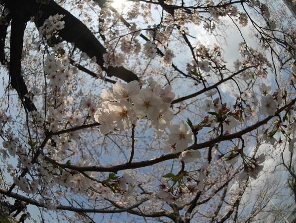 f:id:gzutetsu:20200404141146j:image