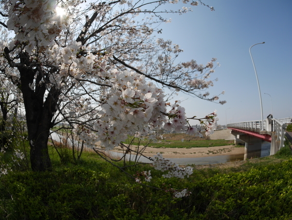 f:id:gzutetsu:20200404142622j:image