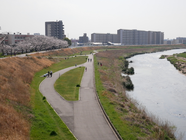 f:id:gzutetsu:20200404143154j:image