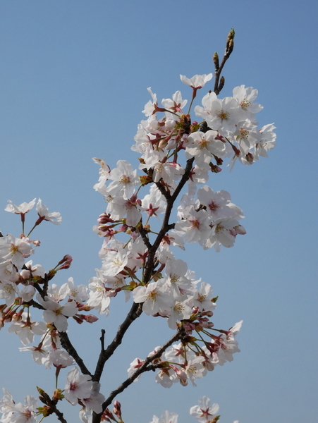 f:id:gzutetsu:20200404143746j:image