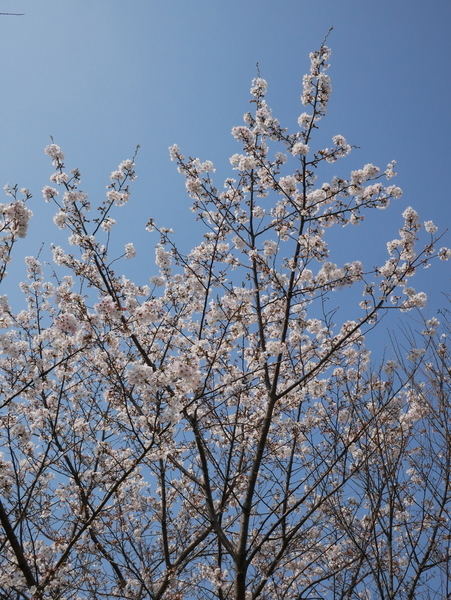 f:id:gzutetsu:20200404144027j:image
