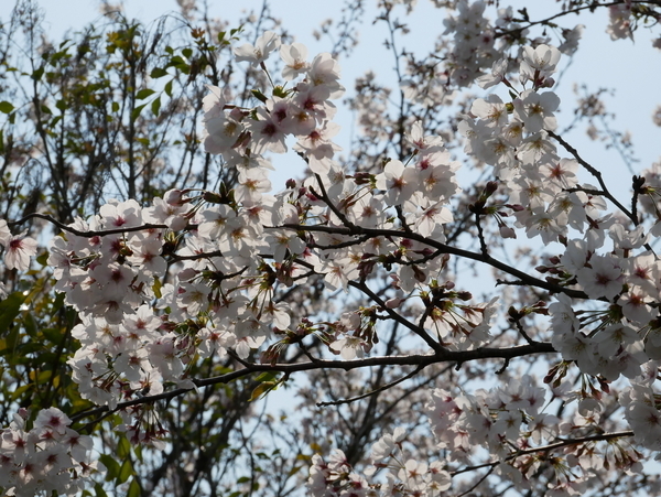 f:id:gzutetsu:20200404144102j:image