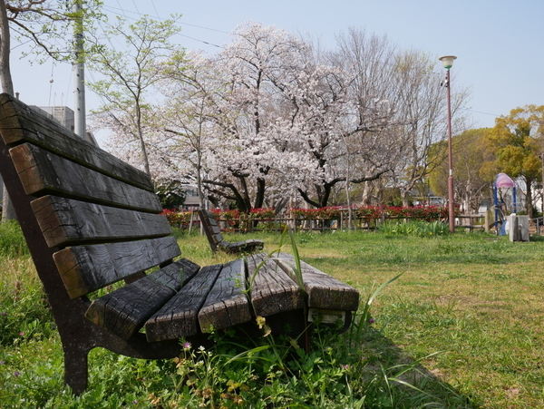f:id:gzutetsu:20200404144557j:image