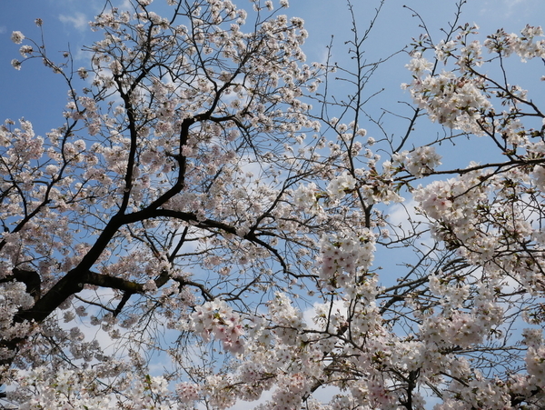 f:id:gzutetsu:20200404145409j:image