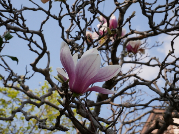 f:id:gzutetsu:20200404145537j:image