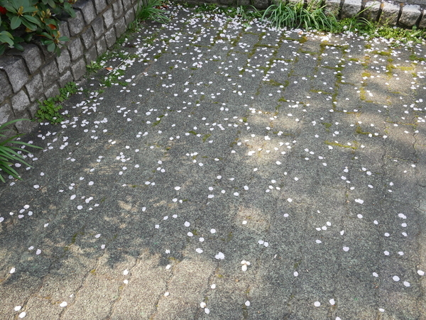 f:id:gzutetsu:20200404145622j:image