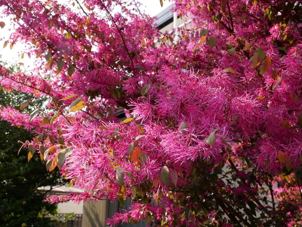 f:id:gzutetsu:20200404150337j:image