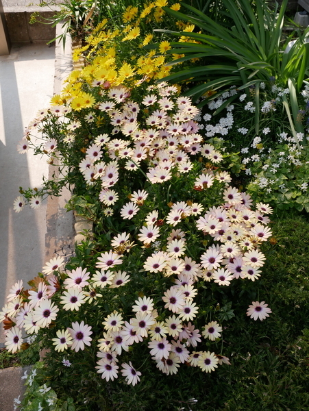 f:id:gzutetsu:20200404150803j:image