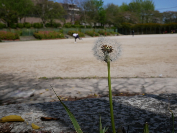 f:id:gzutetsu:20200419135154j:image