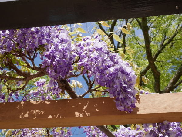 f:id:gzutetsu:20200419135802j:image